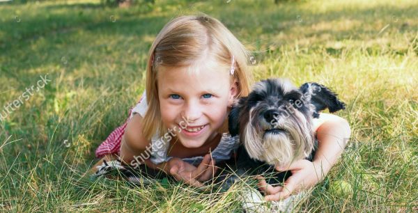 Stock Photo Cute Little Girl With A Dog In The Park 147724790 600x306